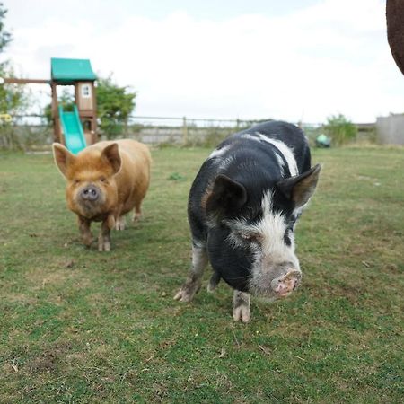 The Piggery Pod Hotel Sittingbourne Exterior photo